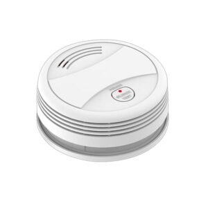 PA447 wireless smoke alarm (1)