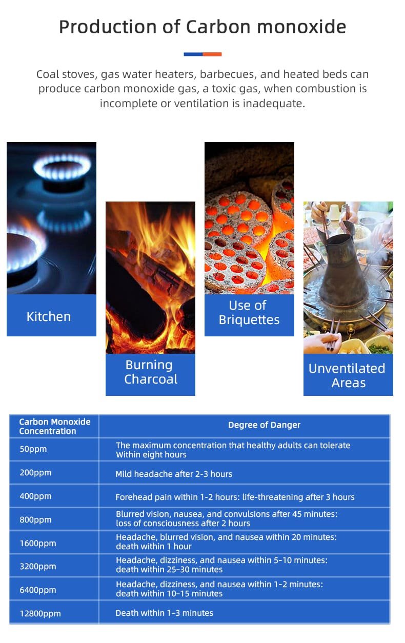 PGC10 Battery Power Carbon Monoxide Alarm (4)