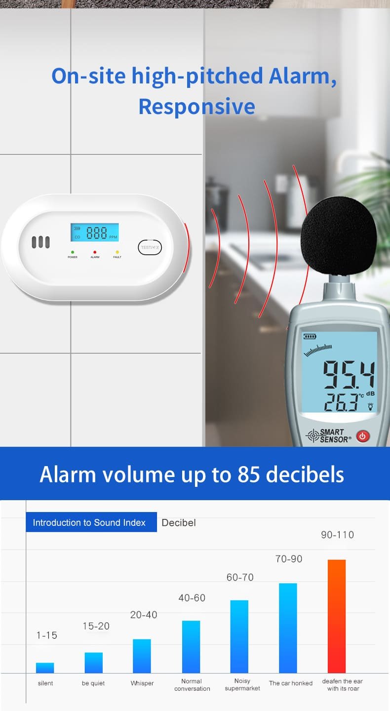 PGC10 Battery Power Carbon Monoxide Alarm (9)