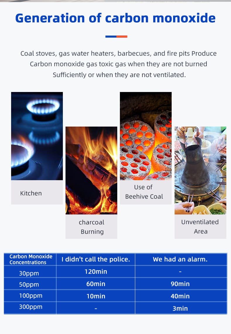 PGN01 Combined Smoke and Carbon Monoxide Alarms (8)