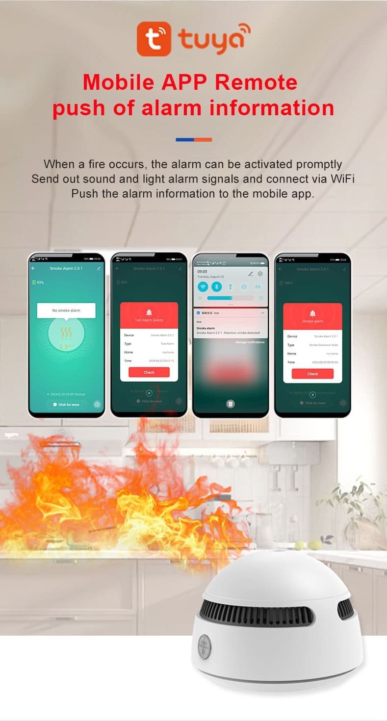 PGS08 Smoke Alarm (6)