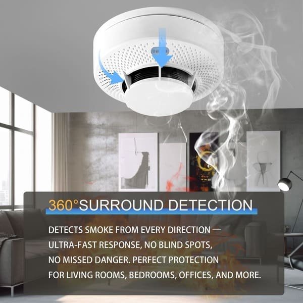 TX3190 standalone smoke detector (1)